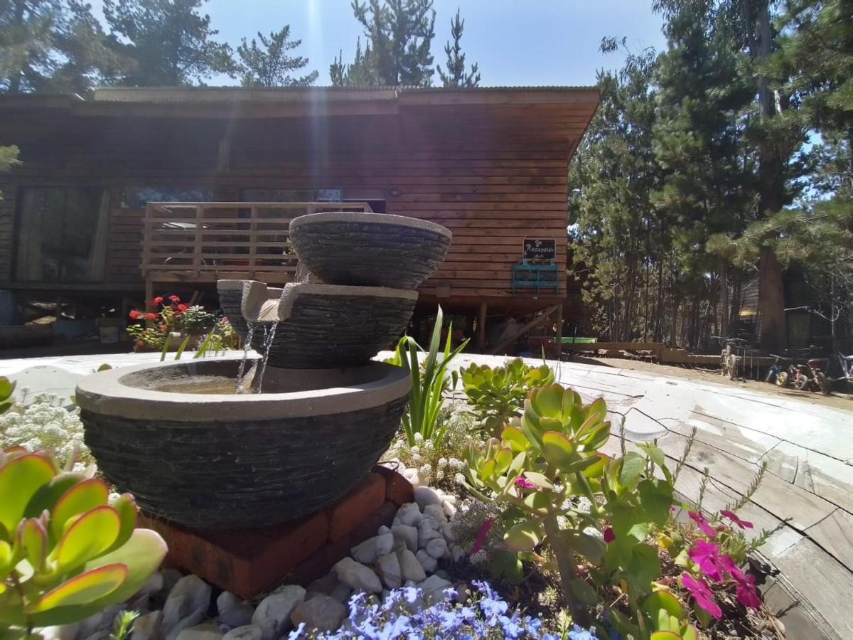 Lodge Terra Mar Pichilemu Eksteriør bilde