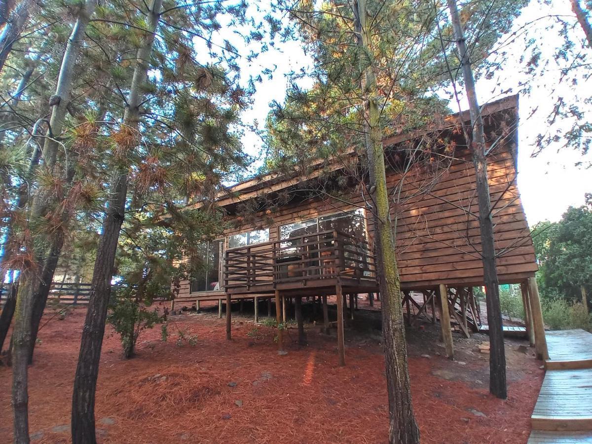 Lodge Terra Mar Pichilemu Eksteriør bilde