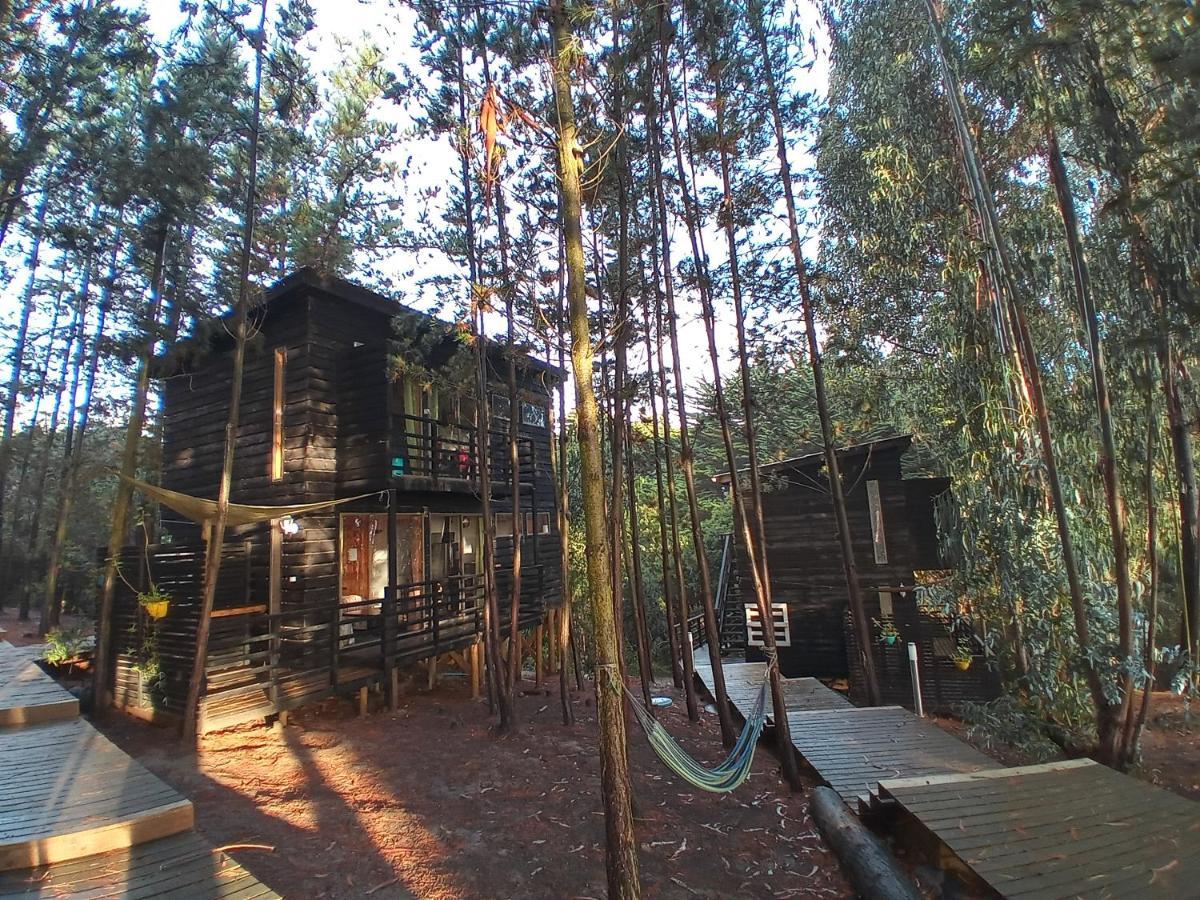 Lodge Terra Mar Pichilemu Eksteriør bilde