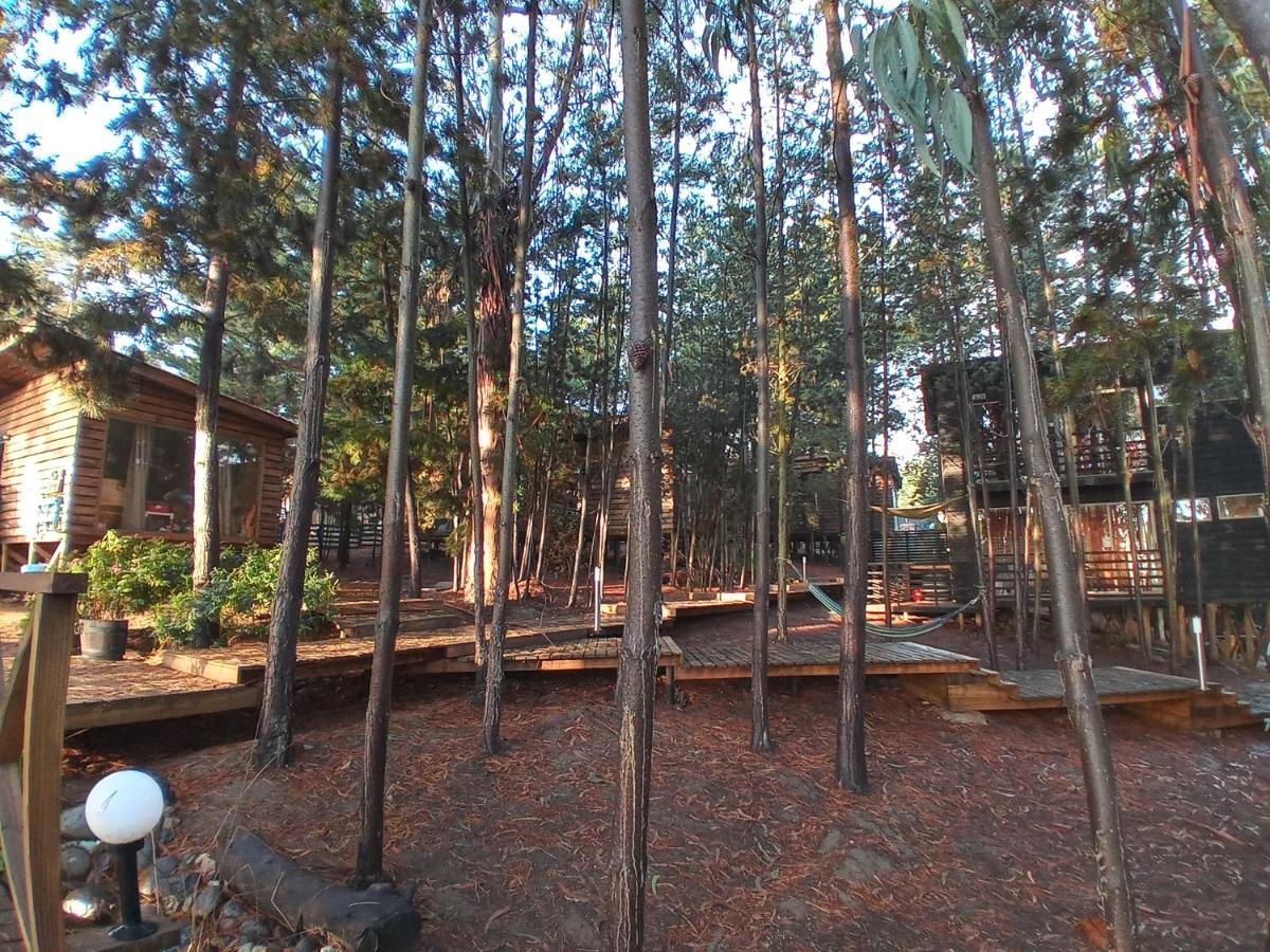 Lodge Terra Mar Pichilemu Eksteriør bilde
