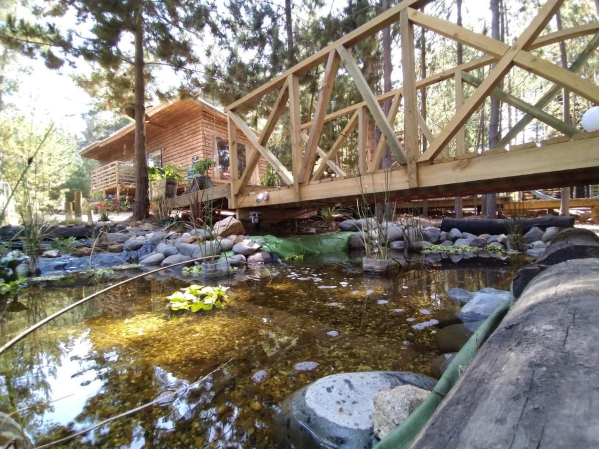 Lodge Terra Mar Pichilemu Eksteriør bilde
